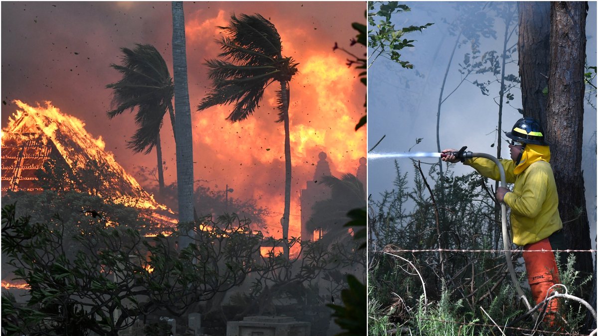 En skogsbrand har brutit ut på Hawaii som tagit flera människoliv.